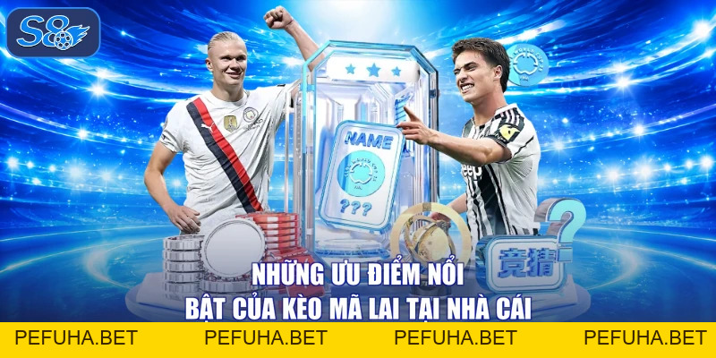 Kèo Mã Lai - Tỷ Lệ Ăn Thưởng Cao Hơn 20% Tại Nhà Cái S8