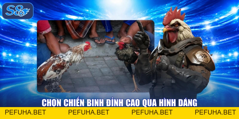 Đá Gà Đòn Đỉnh Cao, Chiến Kê Xông Pha Vang Danh Tự Hào!