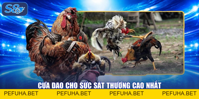 Đá Gà Thomo - Tranh Hùng Chạm Đỉnh, Nhận Thưởng Linh Đình
