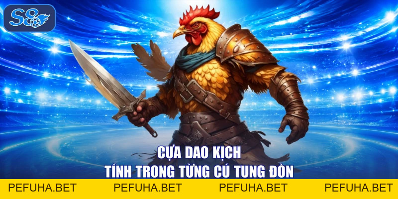 Đá Gà Philippines - Rực Cháy, Trường Đấu Đỉnh Cao Xem Mê Say