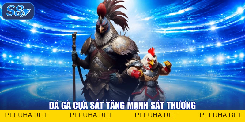 Đá Gà Cựa Sắt Thăng Hoa, Xem Ngay Trận Đấu Nhận Quà Thả Ga!