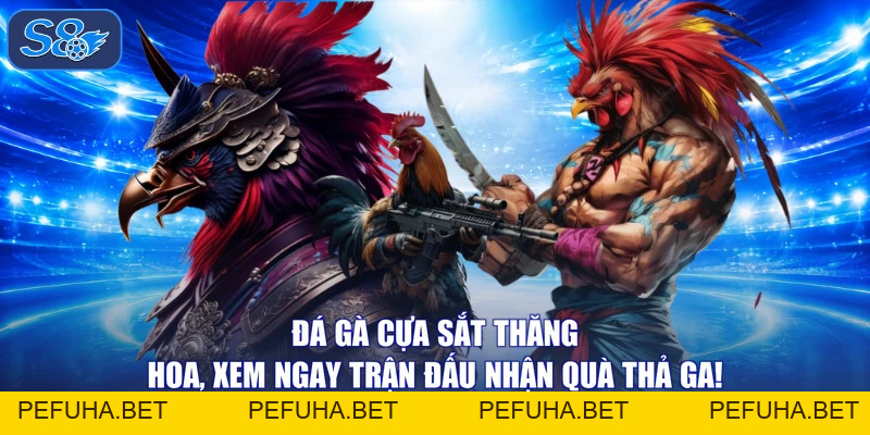 Đá Gà Đỉnh Cao - Xem Ngay Kẻo Lỡ, Trúng Lớn Hết Cỡ