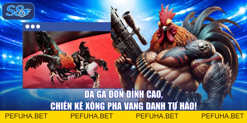 Đá Gà Đỉnh Cao - Xem Ngay Kẻo Lỡ, Trúng Lớn Hết Cỡ
