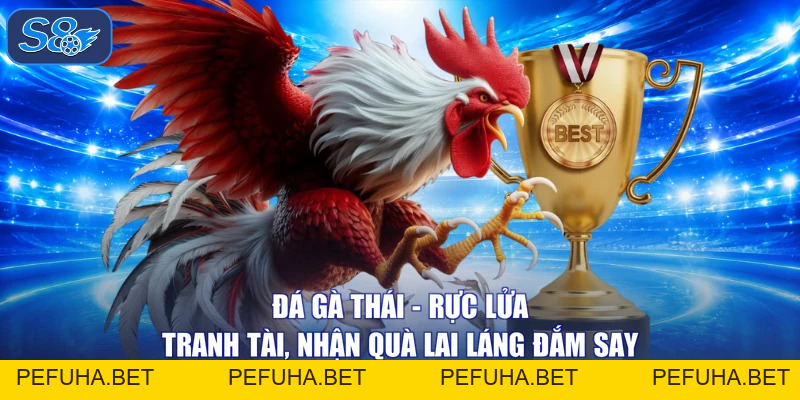 Đá Gà Đỉnh Cao - Xem Ngay Kẻo Lỡ, Trúng Lớn Hết Cỡ