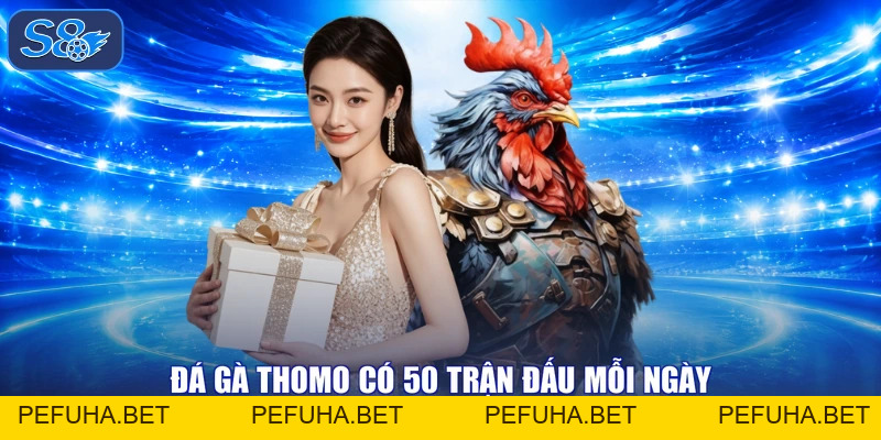 Đá Gà Thomo - Tranh Hùng Chạm Đỉnh, Nhận Thưởng Linh Đình