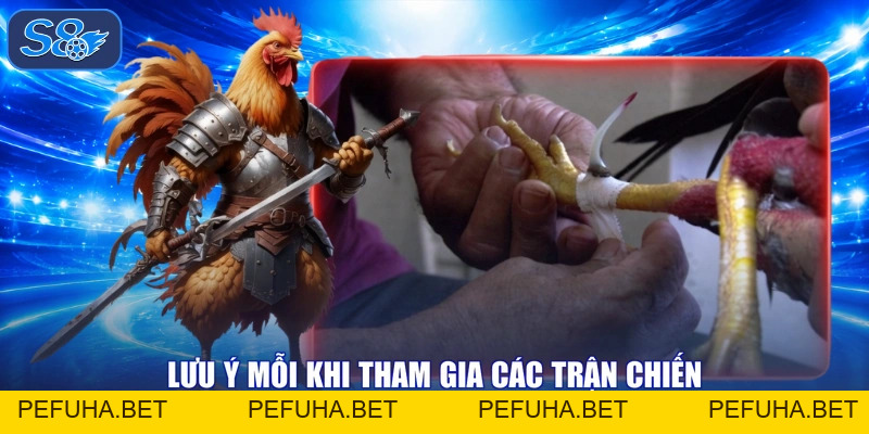 Đá Gà Cựa Sắt Thăng Hoa, Xem Ngay Trận Đấu Nhận Quà Thả Ga!
