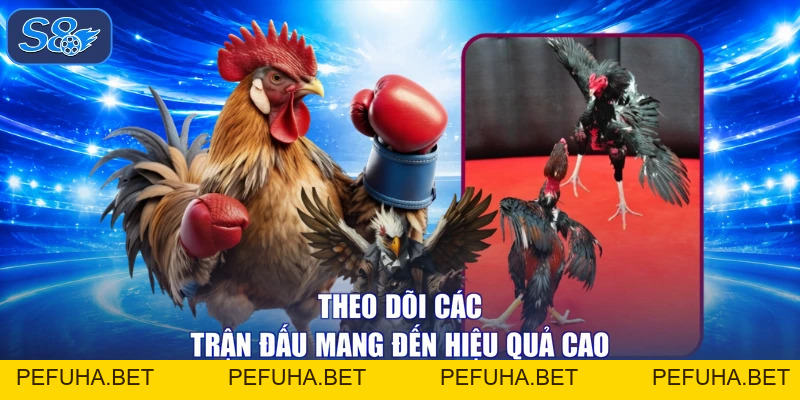 Đá Gà Thomo - Tranh Hùng Chạm Đỉnh, Nhận Thưởng Linh Đình