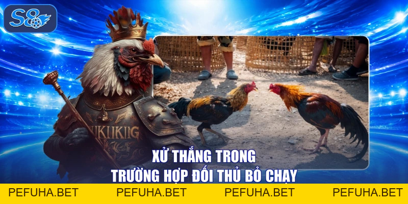 Đá Gà Đòn Đỉnh Cao, Chiến Kê Xông Pha Vang Danh Tự Hào!